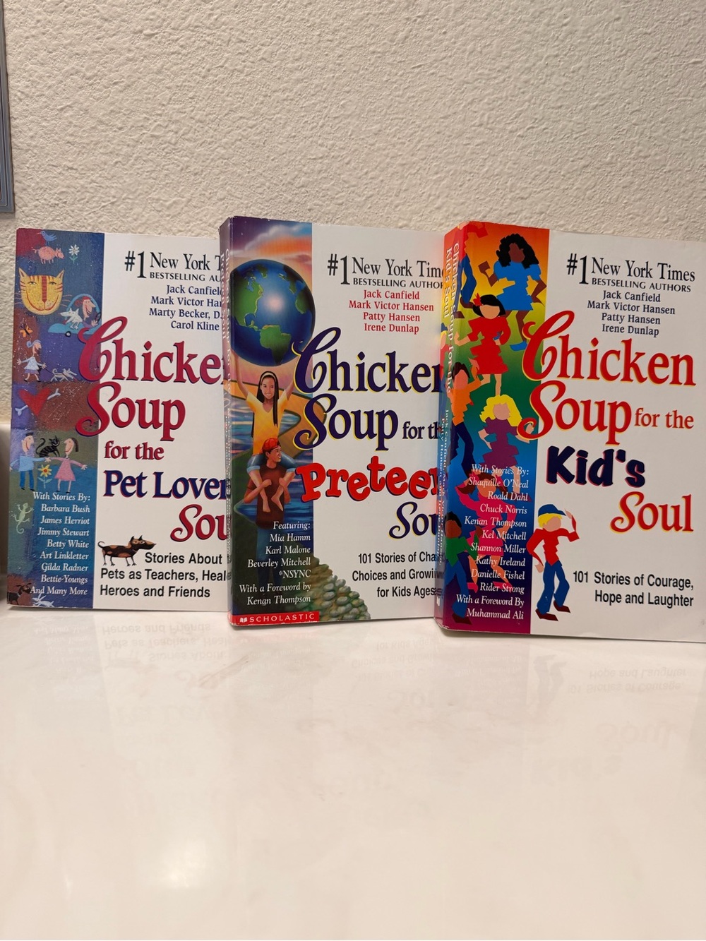 Chicken Soup book bundle